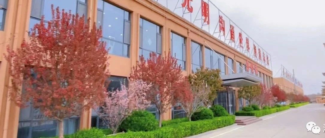 喜報！濱澳線纜公司首次成功獲得能源管理體系認(rèn)證證書